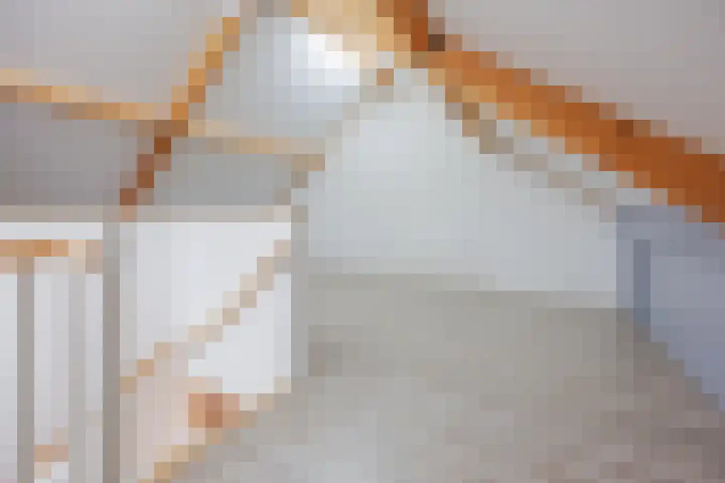 Lisdodde 10 America thumbnail 33