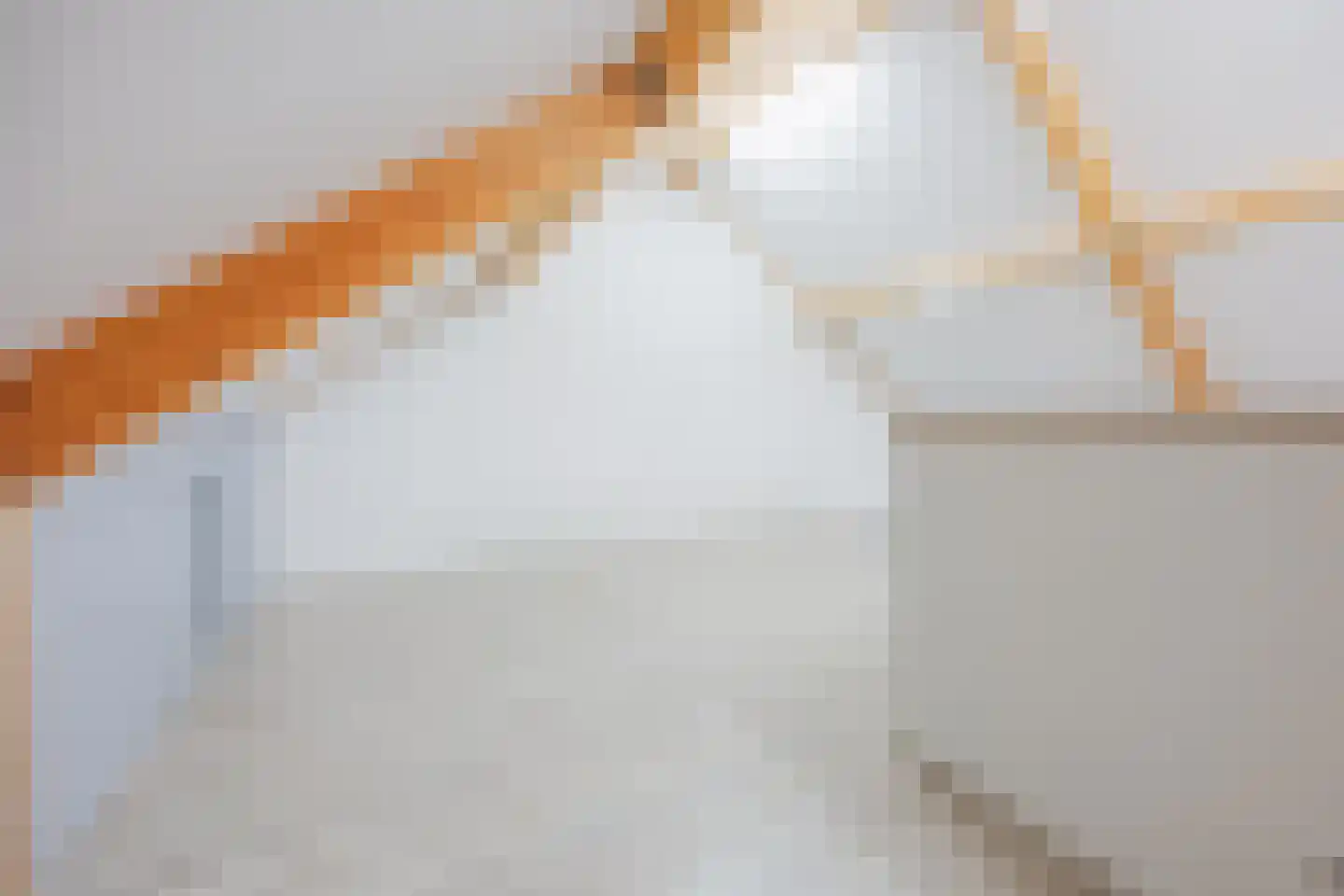 Lisdodde 10 America thumbnail 34
