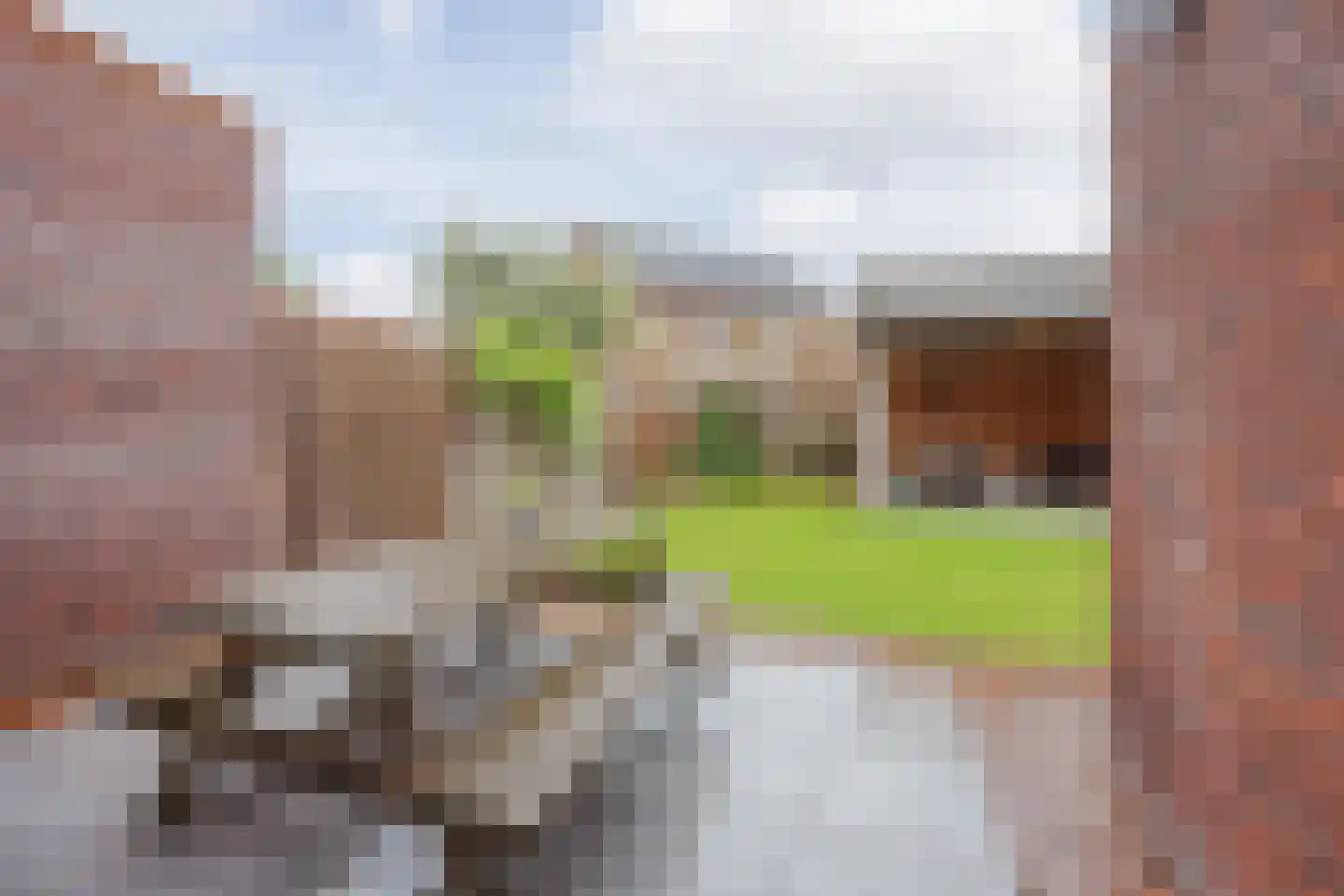 Lisdodde 10 America thumbnail 36