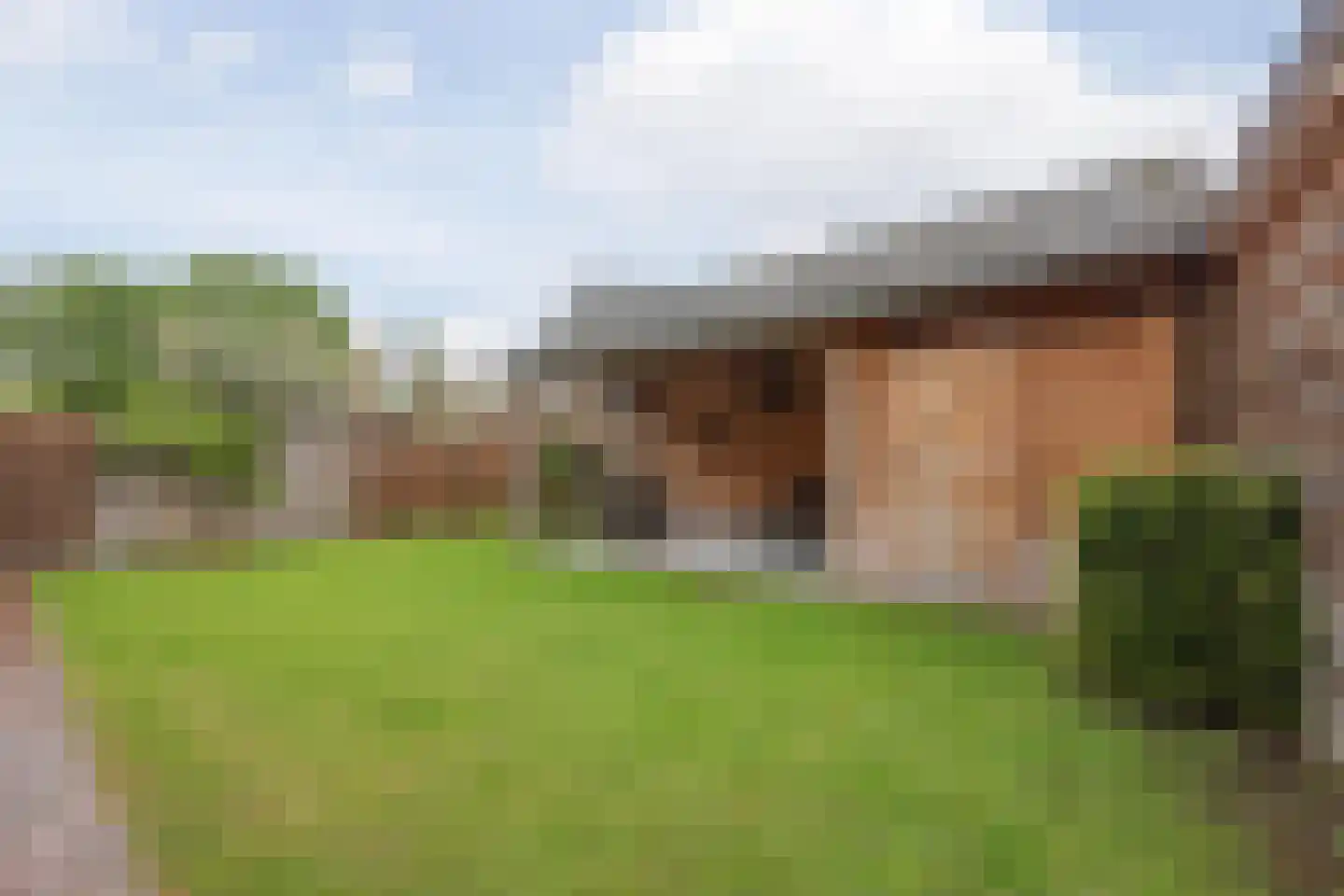 Lisdodde 10 America thumbnail 39