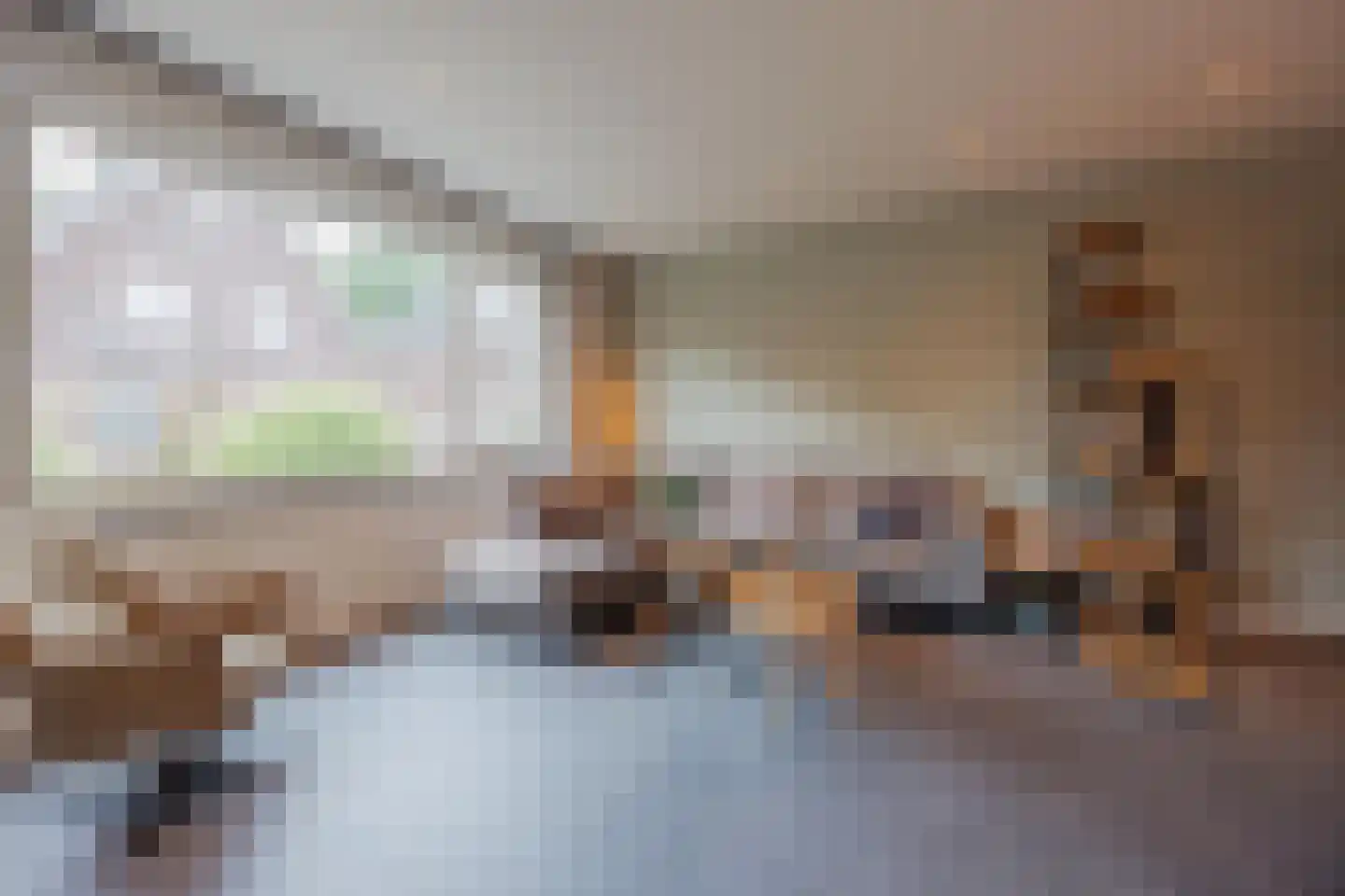 Lisdodde 10 America thumbnail 4