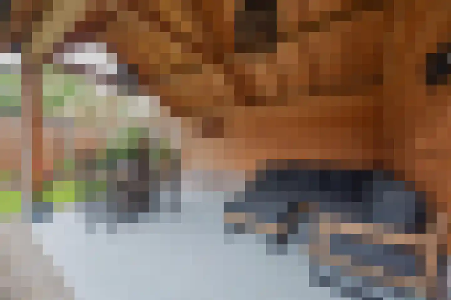 Lisdodde 10 America thumbnail 40