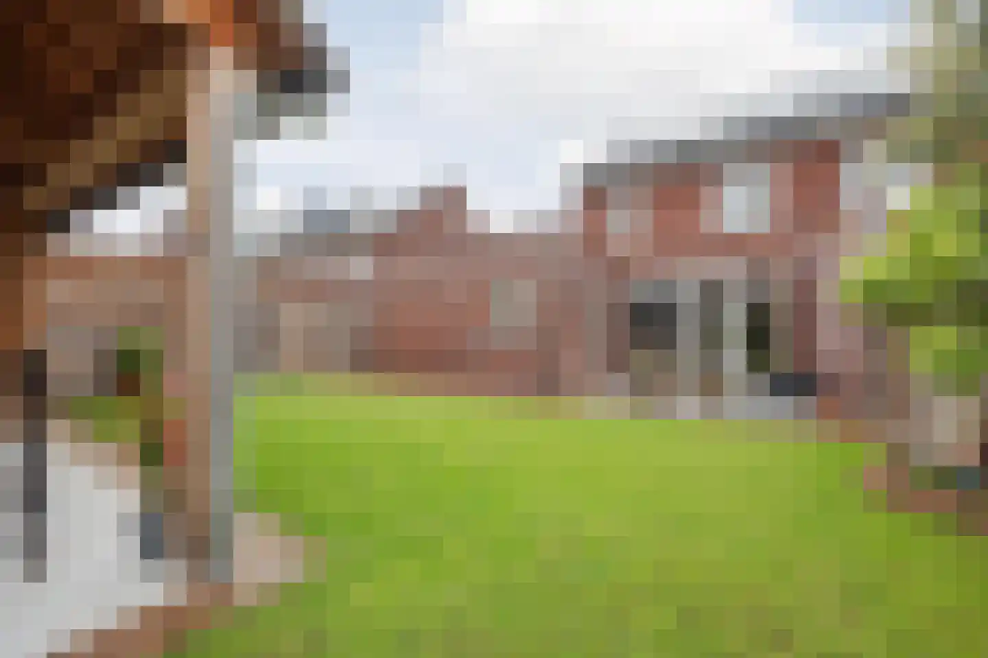 Lisdodde 10 America thumbnail 42