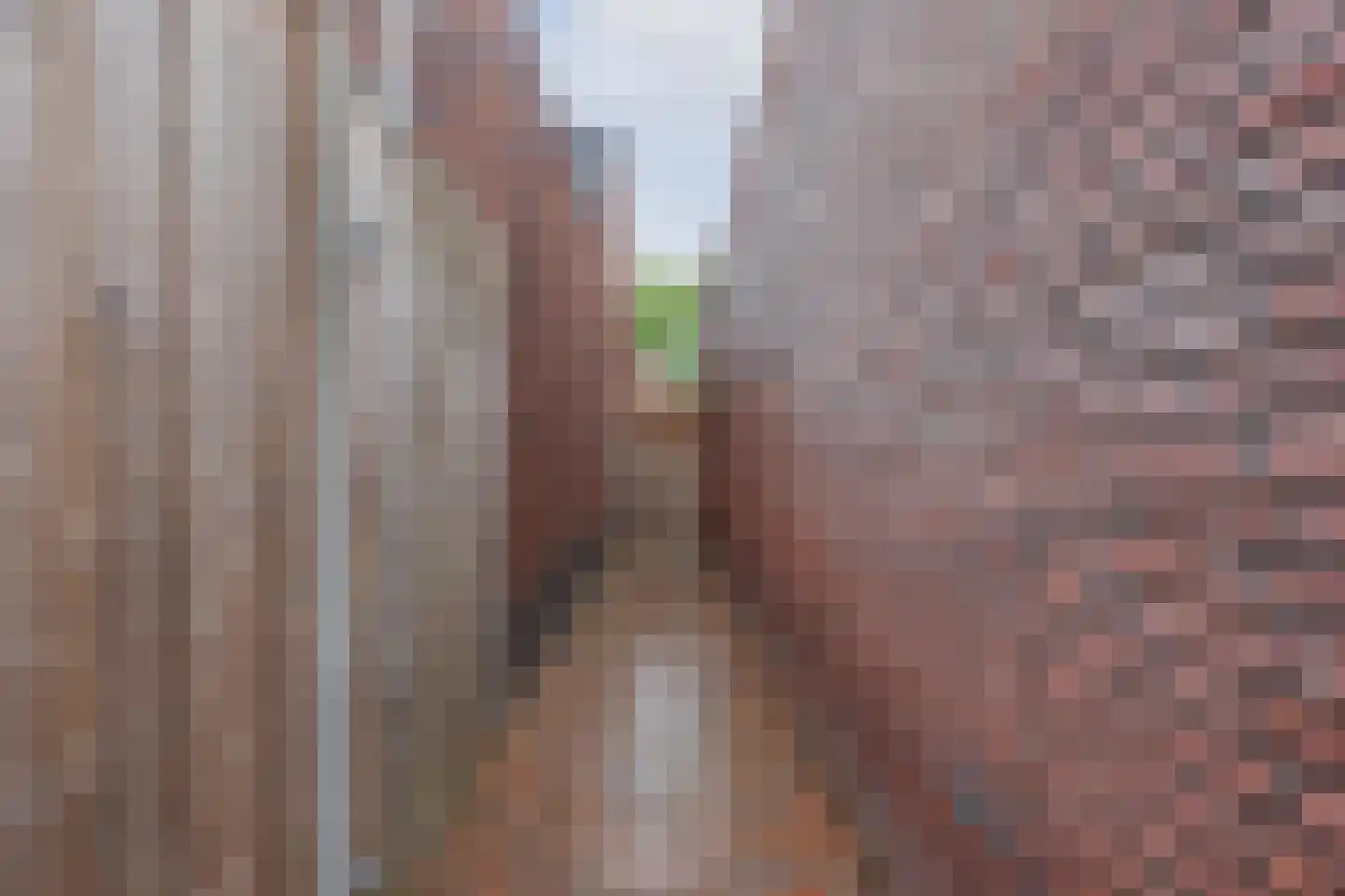 Lisdodde 10 America thumbnail 43