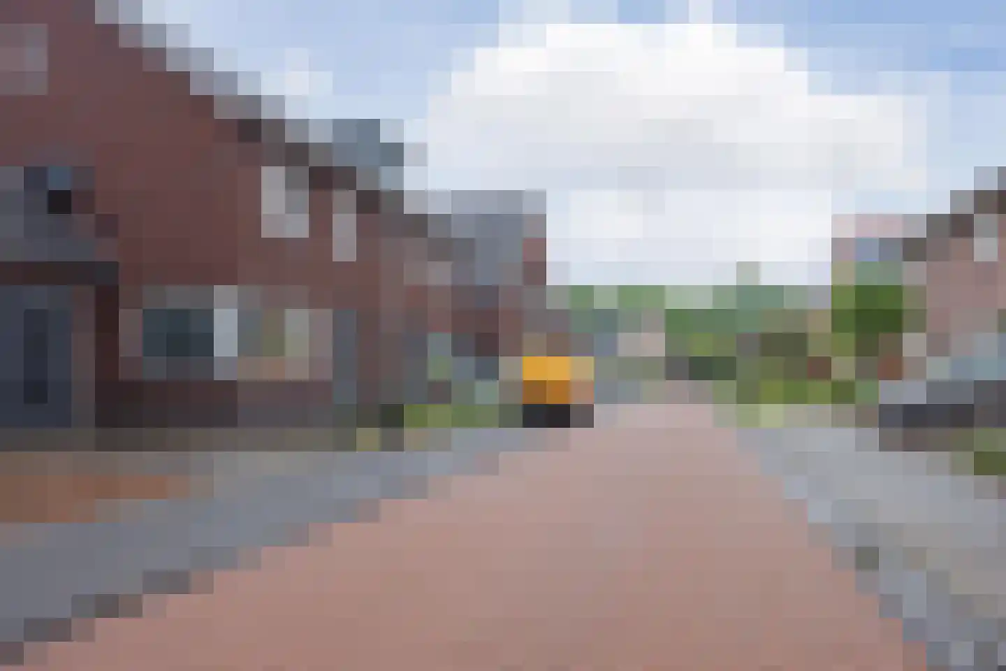 Lisdodde 10 America thumbnail 46