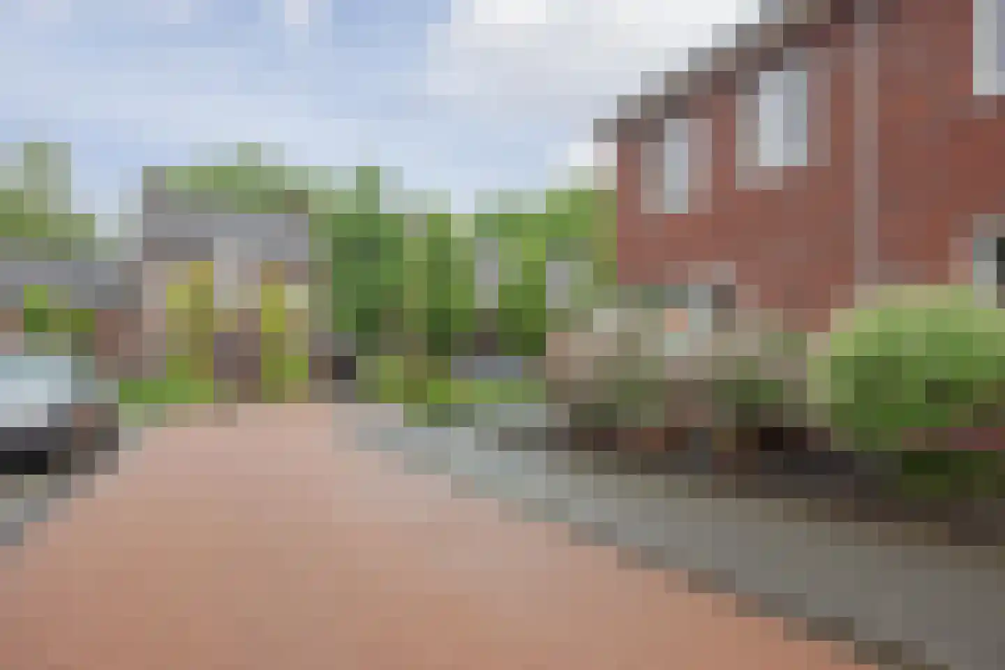 Lisdodde 10 America thumbnail 47