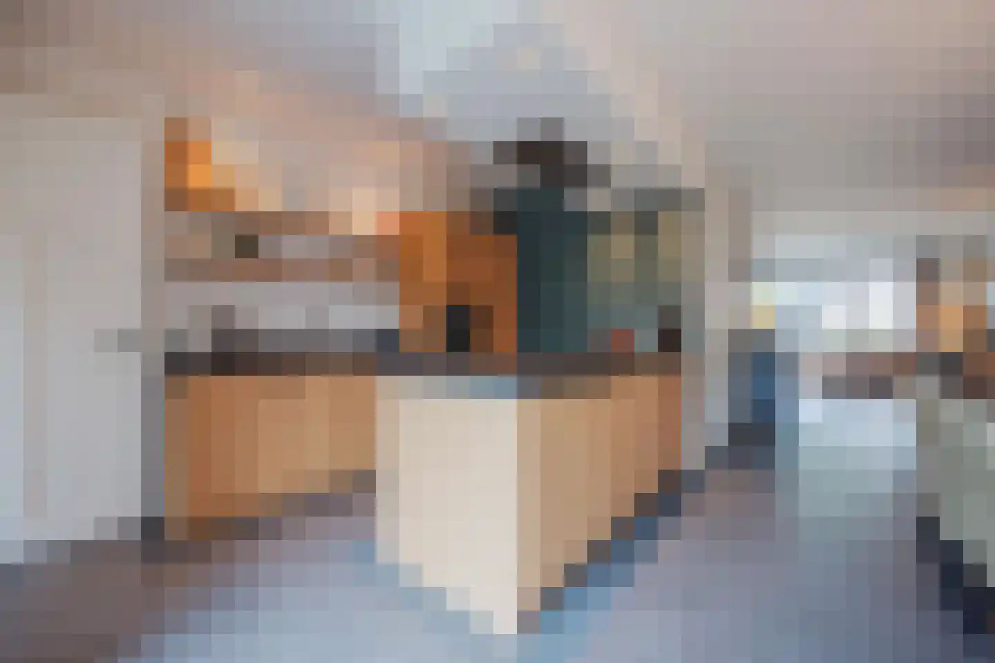 Lisdodde 10 America thumbnail 5