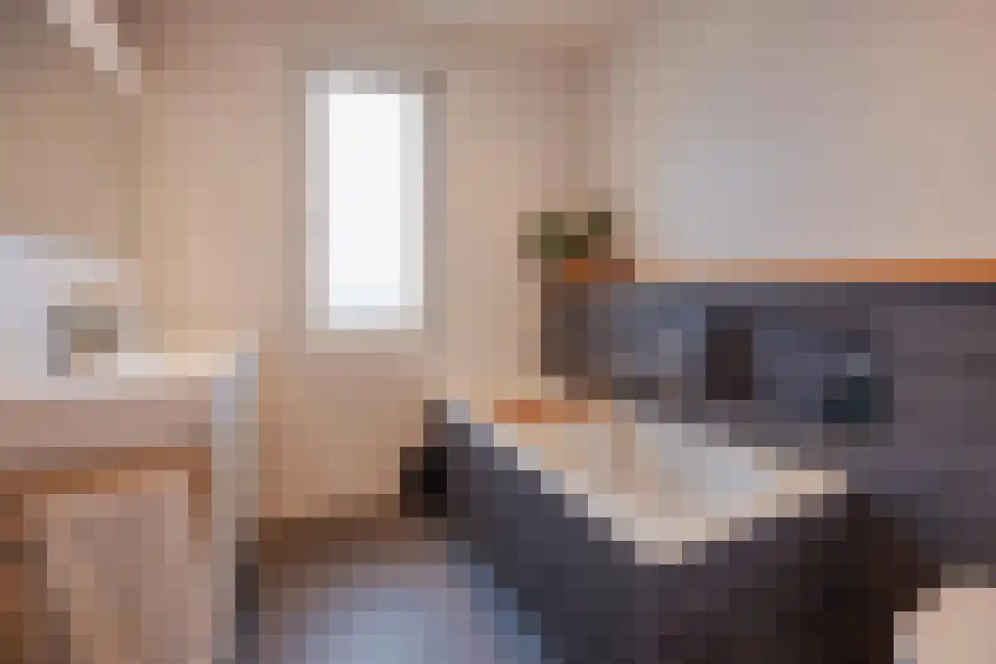 Lisdodde 10 America thumbnail 6