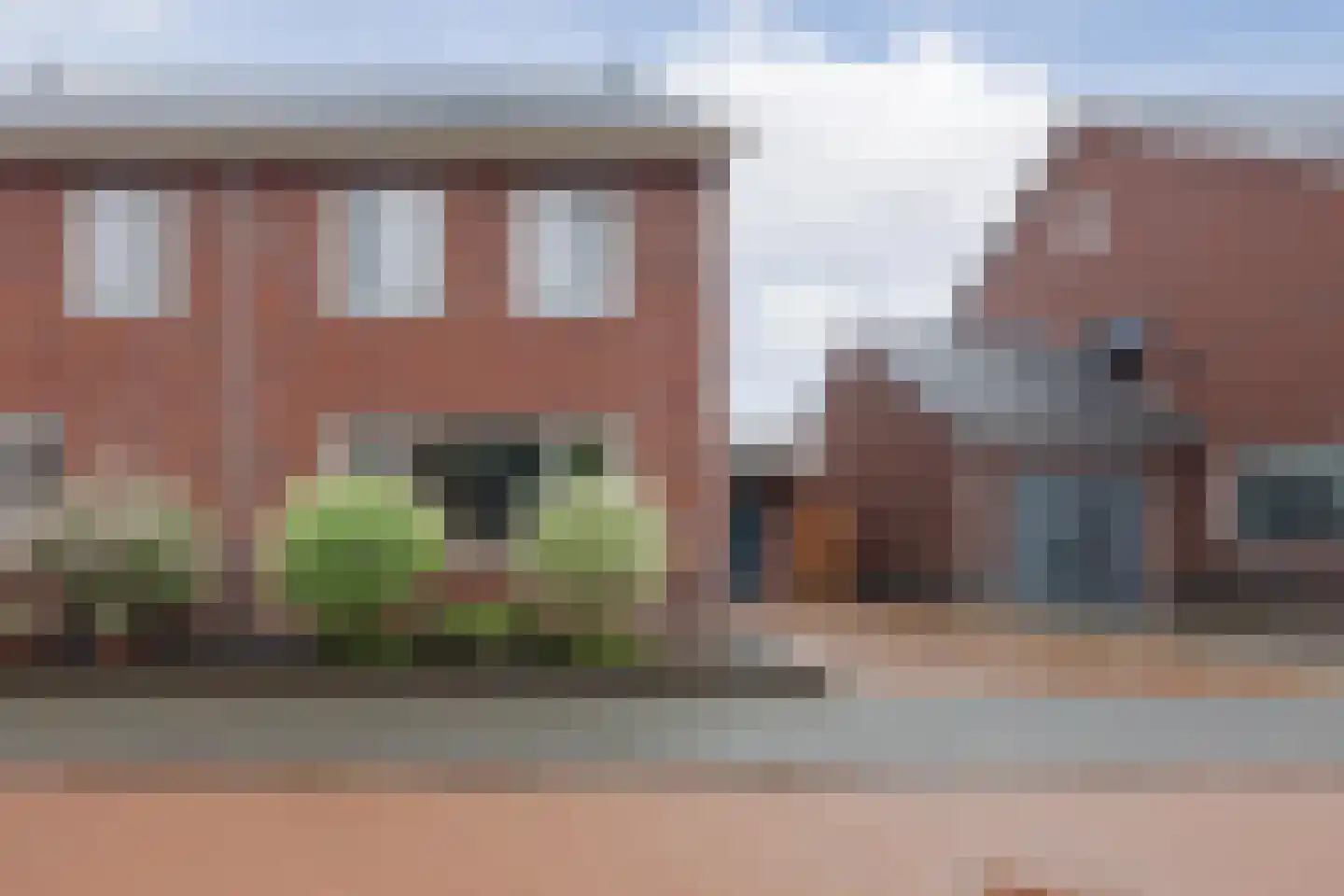Lisdodde 10 America thumbnail 7
