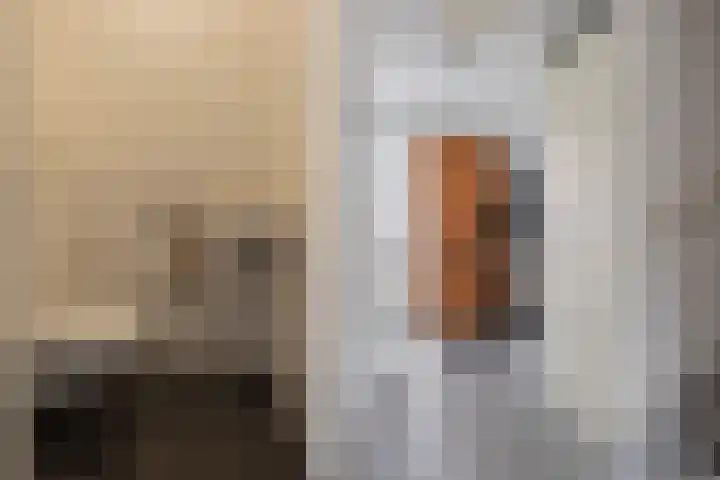 Lisdodde 100 Alphen aan den Rijn thumbnail 10