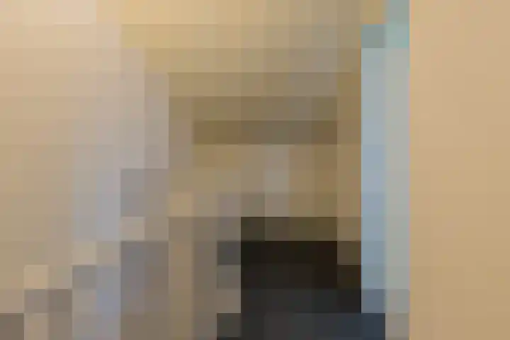Lisdodde 100 Alphen aan den Rijn thumbnail 13