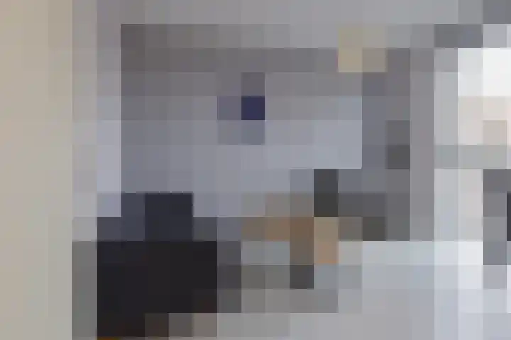 Lisdodde 100 Alphen aan den Rijn thumbnail 19