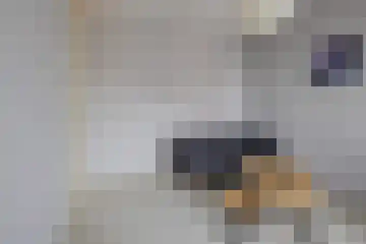 Lisdodde 100 Alphen aan den Rijn thumbnail 20