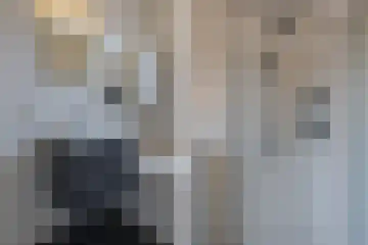 Lisdodde 100 Alphen aan den Rijn thumbnail 23