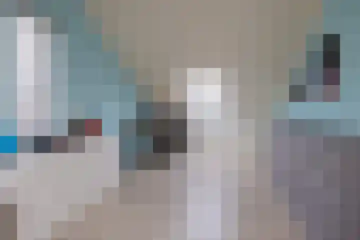 Lisdodde 100 Alphen aan den Rijn thumbnail 25