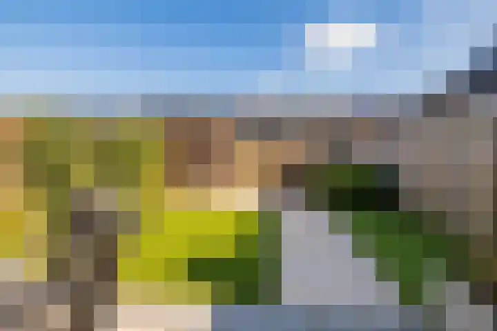 Lisdodde 100 Alphen aan den Rijn thumbnail 28
