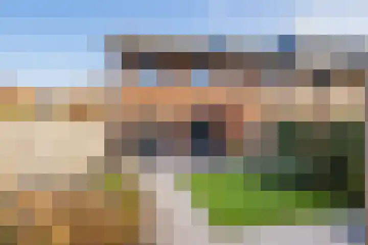 Lisdodde 100 Alphen aan den Rijn thumbnail 29