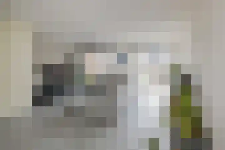 Lisdodde 100 Alphen aan den Rijn foto 3