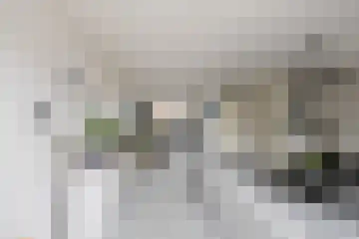 Lisdodde 100 Alphen aan den Rijn thumbnail 5