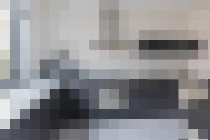 Lisdodde 100 Alphen aan den Rijn thumbnail 7