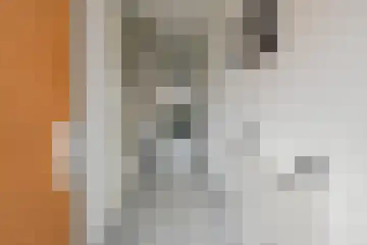 Lisdodde 100 Alphen aan den Rijn thumbnail 9