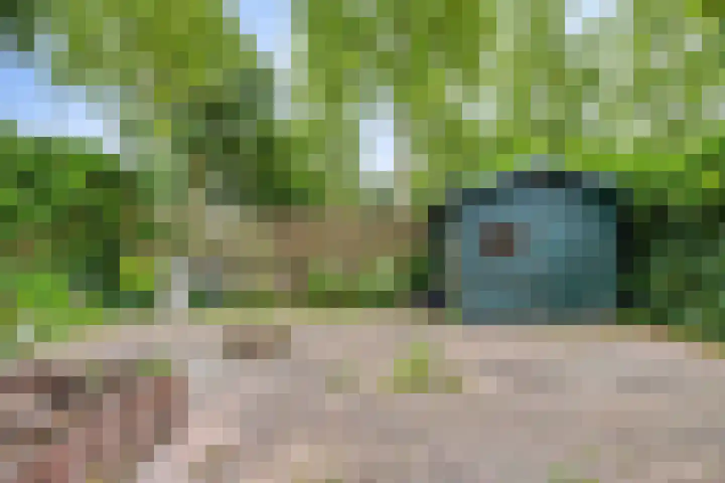 Lisdodde 108 Nieuw-Buinen foto 3