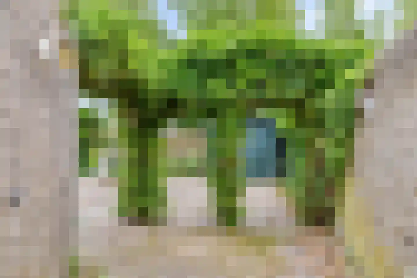 Lisdodde 108 Nieuw-Buinen thumbnail 36