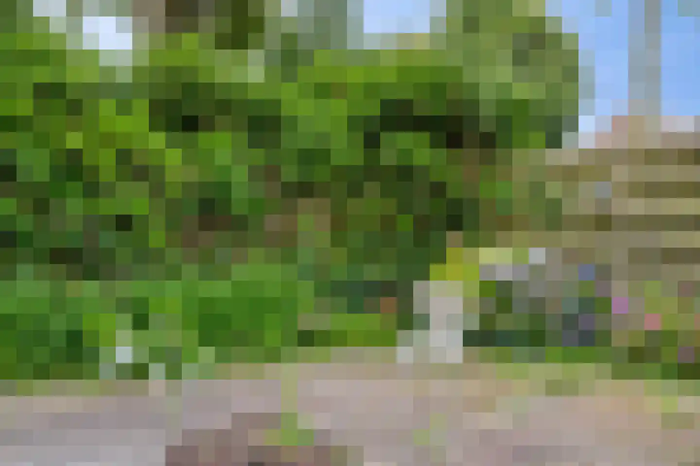 Lisdodde 108 Nieuw-Buinen thumbnail 37