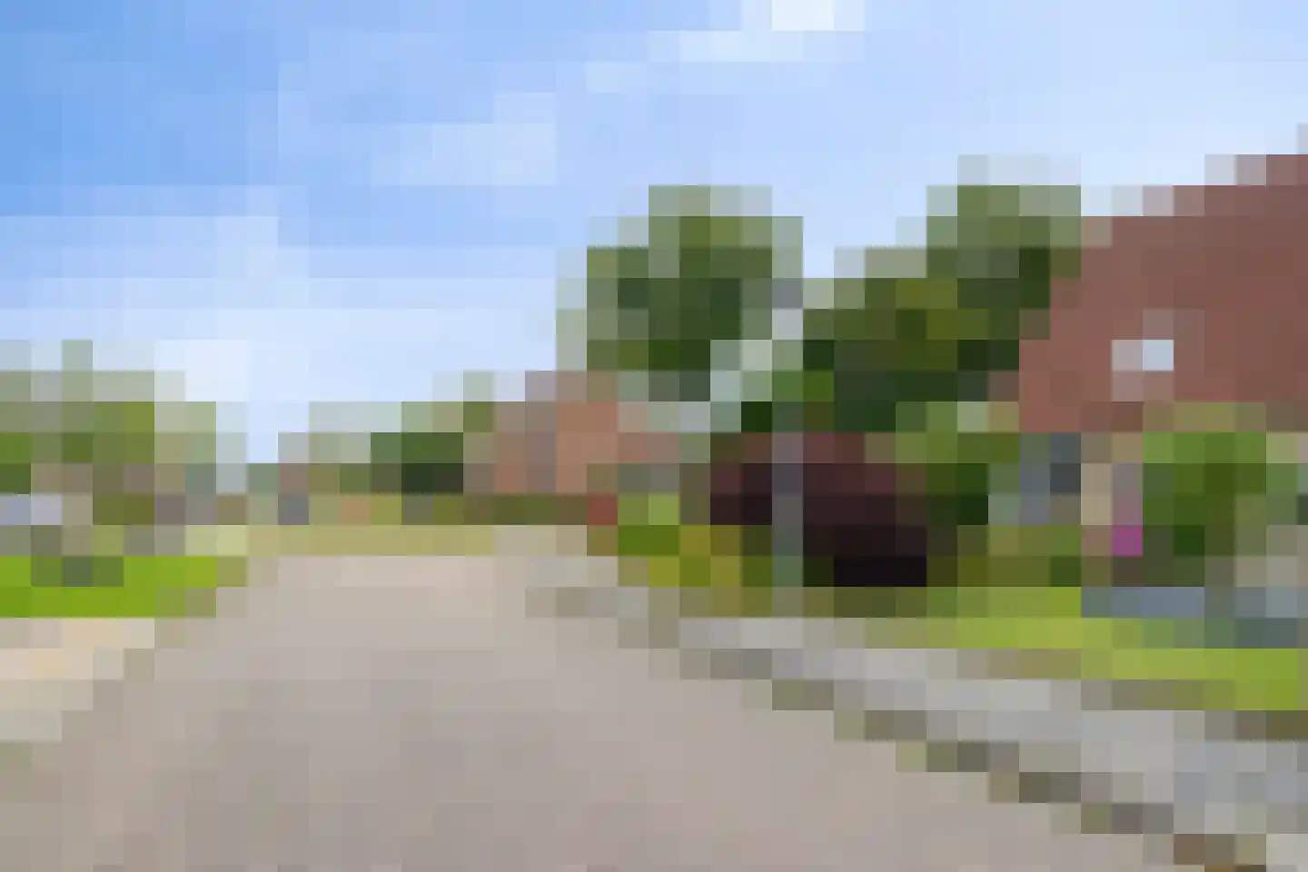 Lisdodde 108 Nieuw-Buinen thumbnail 39