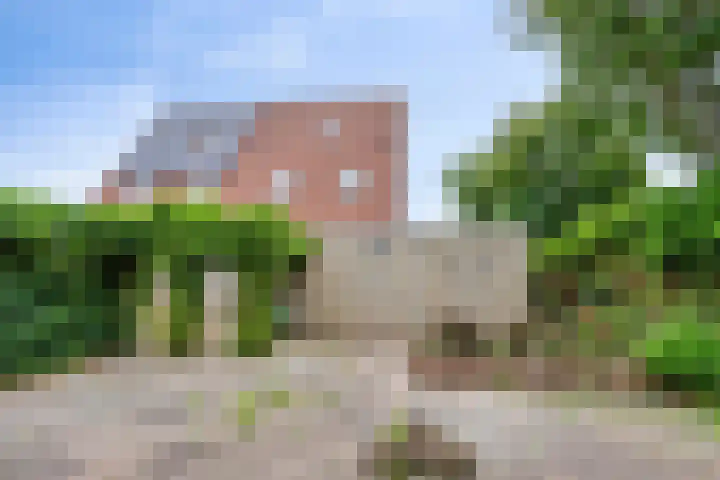 Lisdodde 108 Nieuw-Buinen thumbnail 4