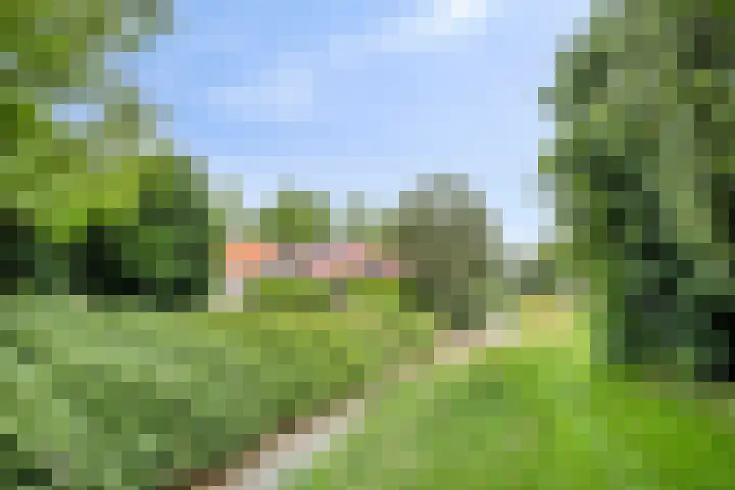Lisdodde 108 Nieuw-Buinen thumbnail 40