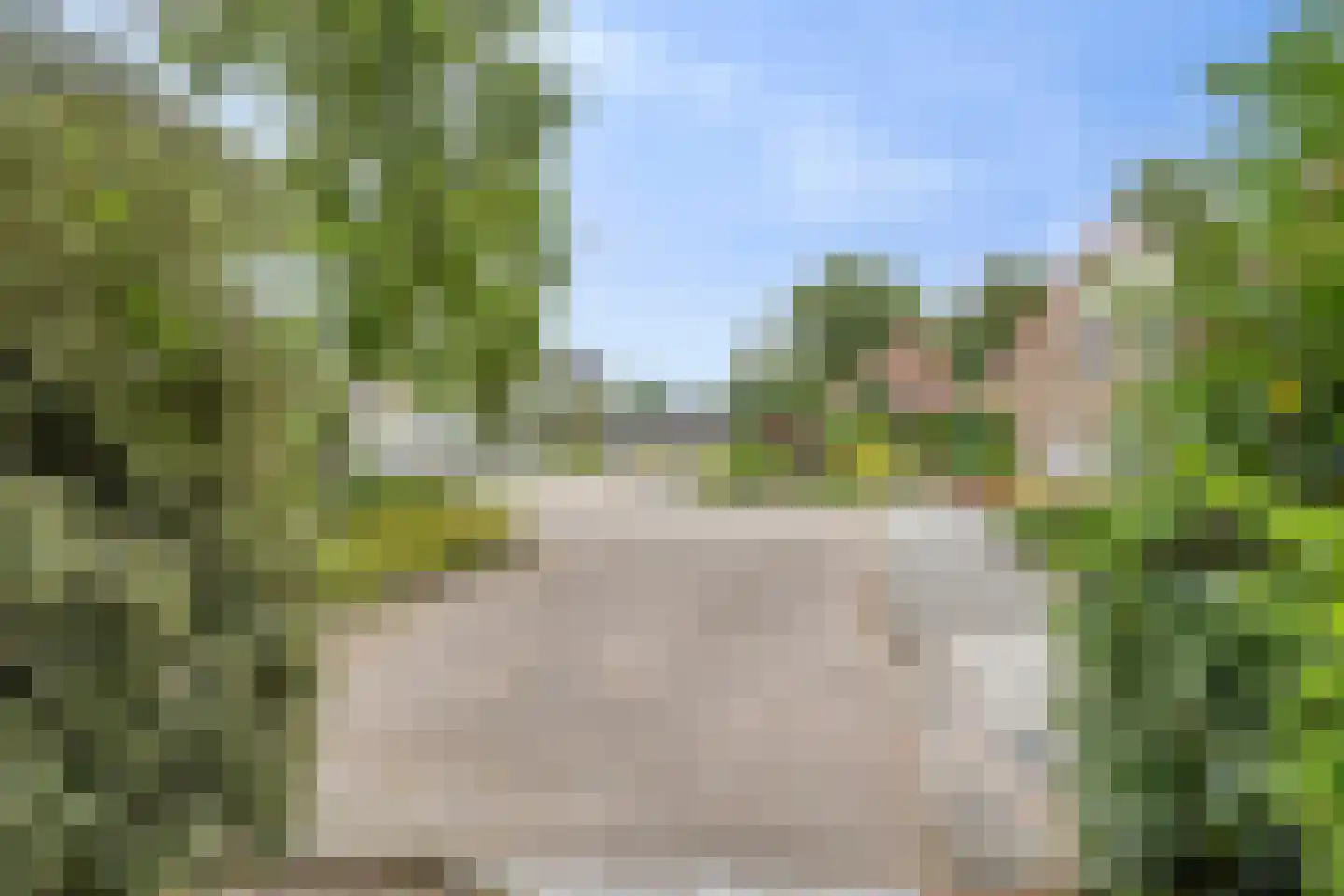 Lisdodde 108 Nieuw-Buinen thumbnail 41