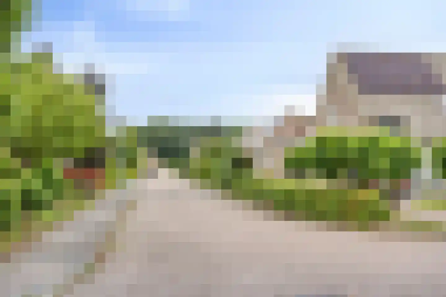 Lisdodde 108 Nieuw-Buinen thumbnail 42
