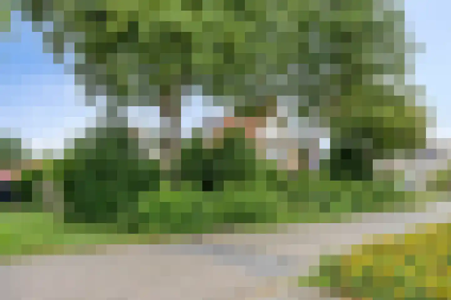 Lisdodde 108 Nieuw-Buinen thumbnail 44