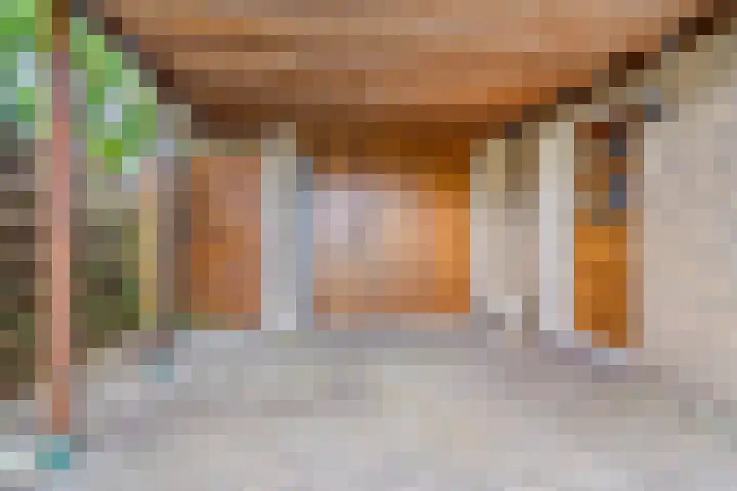 Lisdodde 108 Nieuw-Buinen thumbnail 7