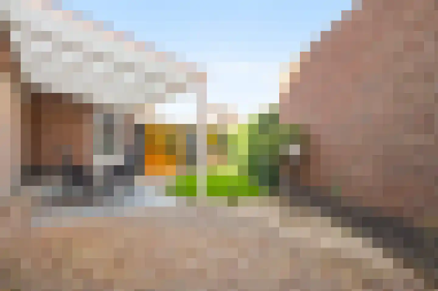 Lisdodde 12 b America thumbnail 44