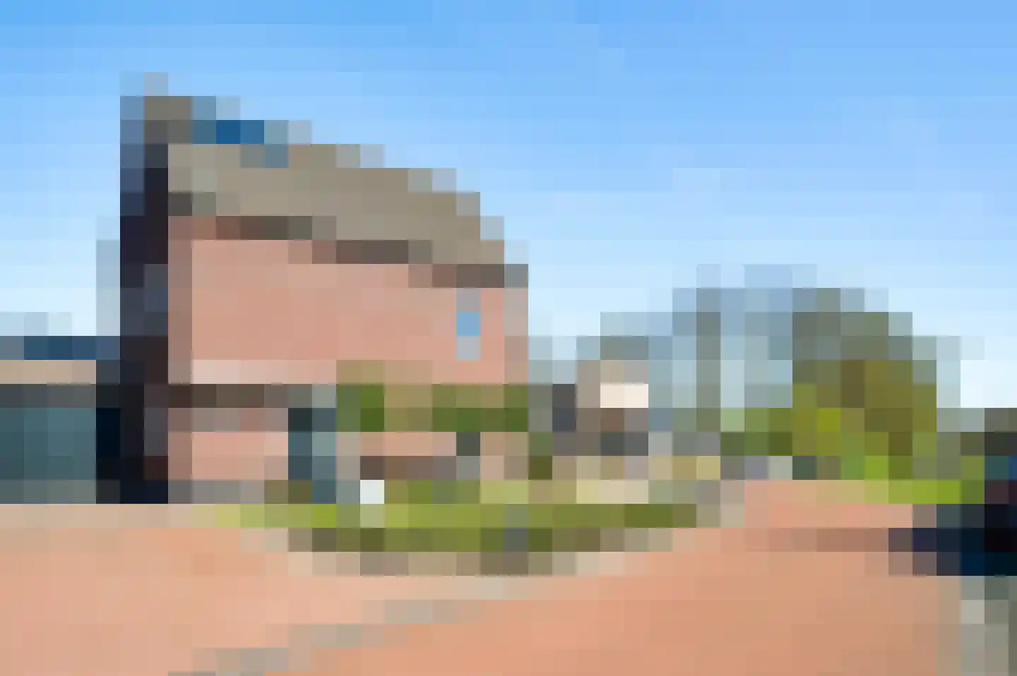 Lisdodde 12 b America thumbnail 6