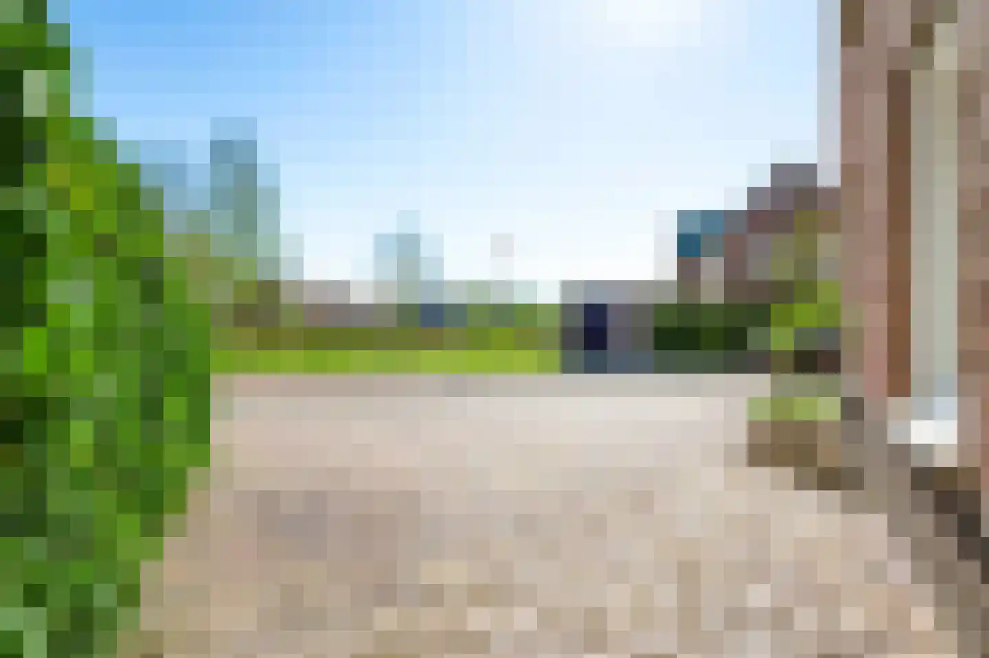 Lisdodde 12 b America thumbnail 9