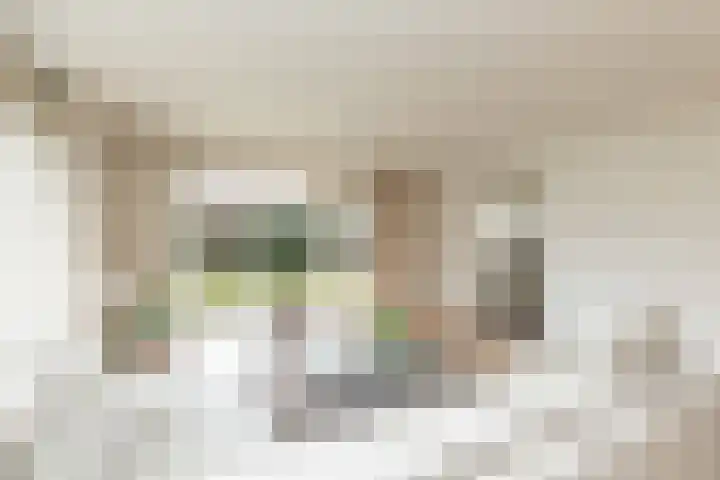 Lisdodde 12 Hoogeveen thumbnail 12