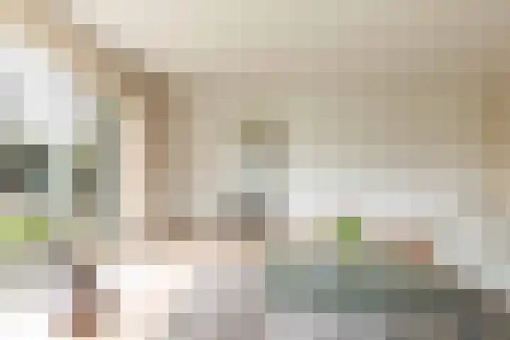 Lisdodde 12 Hoogeveen thumbnail 16