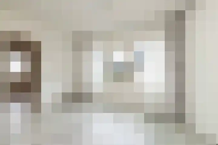 Lisdodde 12 Hoogeveen thumbnail 25