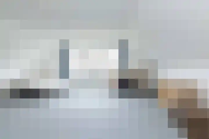 Lisdodde 12 Hoogeveen thumbnail 31