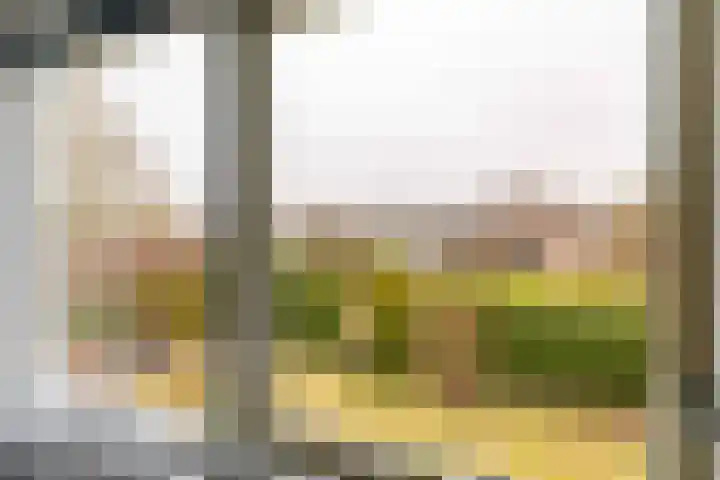 Lisdodde 12 Hoogeveen thumbnail 33