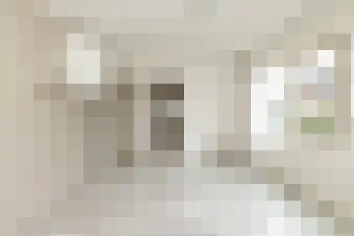 Lisdodde 12 Hoogeveen thumbnail 4