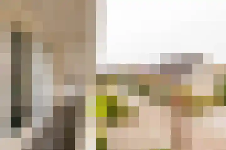 Lisdodde 12 Hoogeveen thumbnail 41