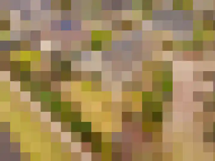 Lisdodde 12 Hoogeveen thumbnail 43