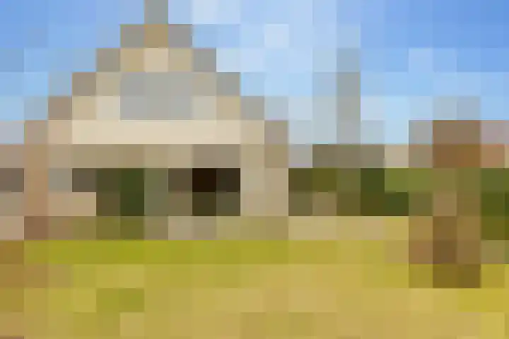 Lisdodde 12 Hoogeveen thumbnail 46