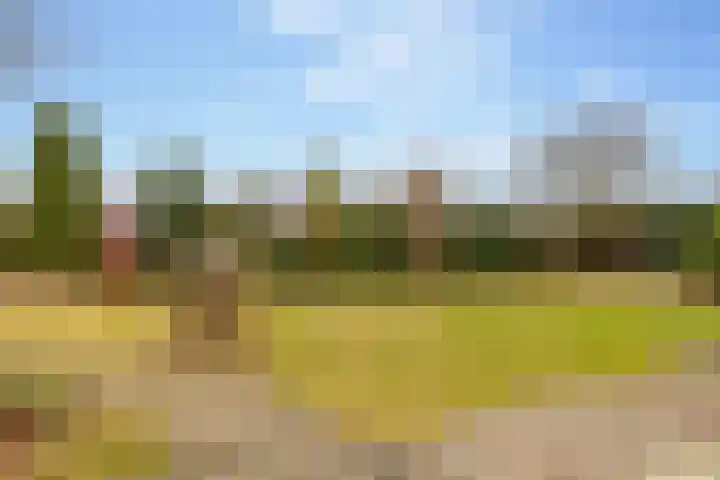 Lisdodde 12 Hoogeveen thumbnail 47