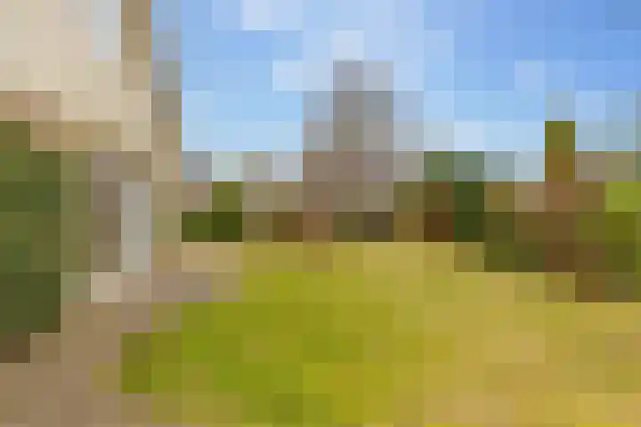 Lisdodde 12 Hoogeveen thumbnail 48