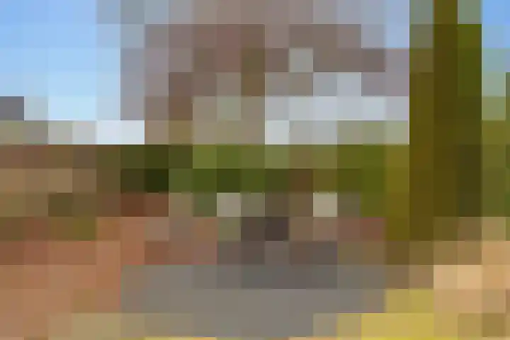 Lisdodde 12 Hoogeveen thumbnail 49